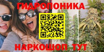 таблы Кимры
