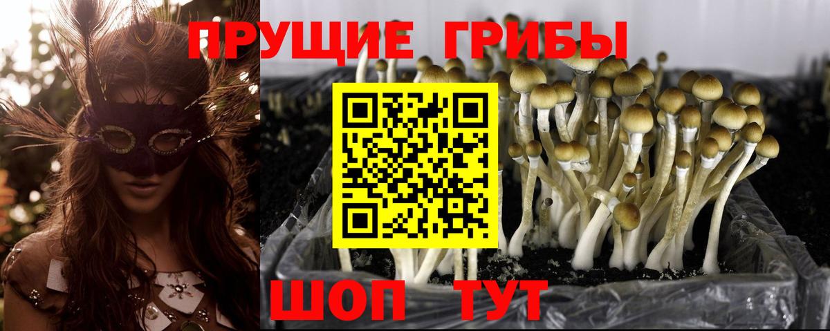 Галлюциногенные грибы Magic Shrooms Костомукша